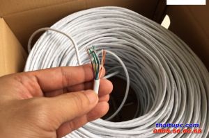 Cable Cat5 AMP LX - 0830